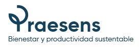 praesens